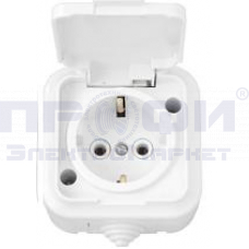 Розетка РА16-297 с/з IP54 (Пралеска Аква)